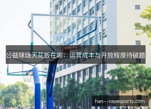 公益球场天花板在哪:运营成本与开放程度待破题 公益球场天花板在哪:运营成本与开放程度待破题